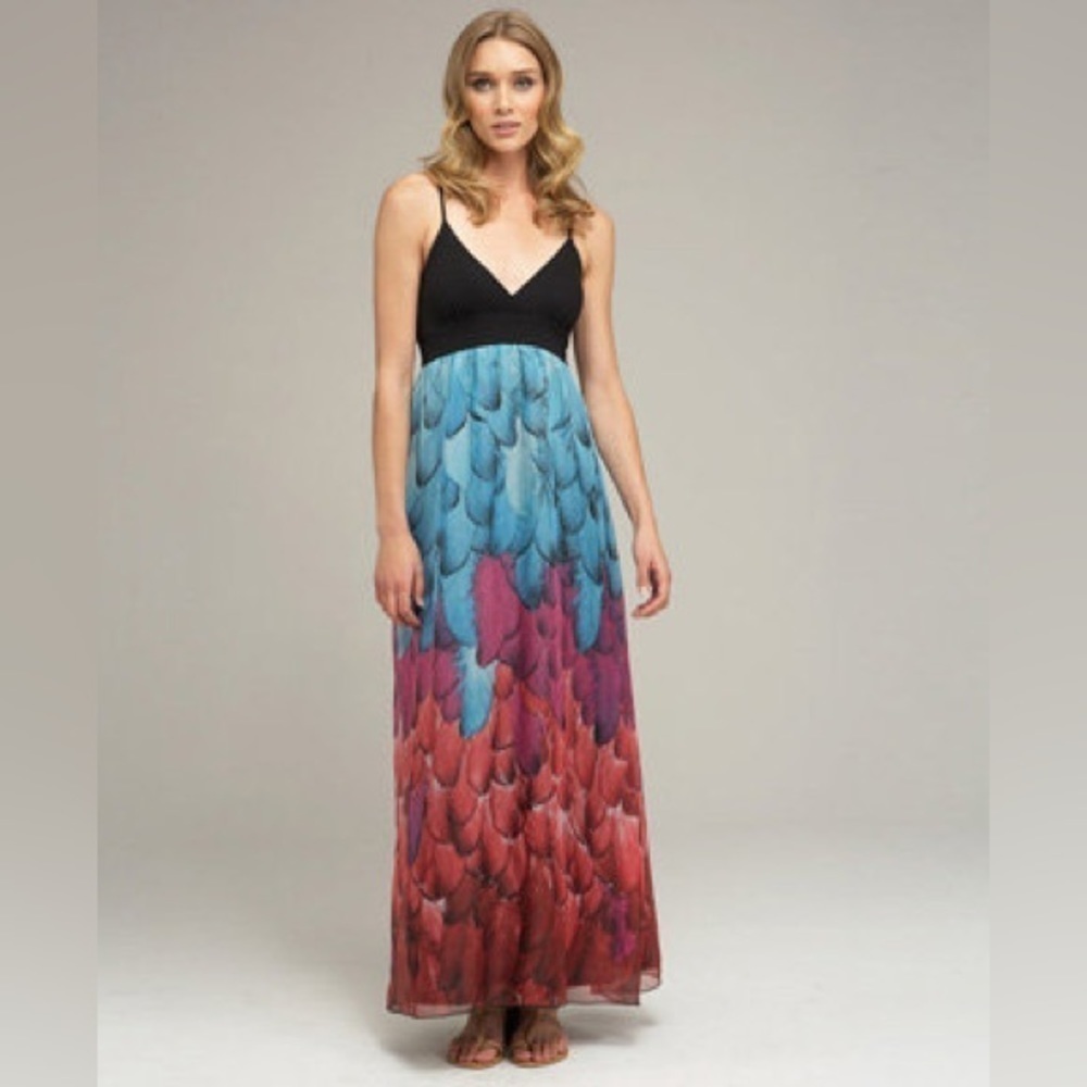 Janette John 3:16 Women’s Peacock Feather Print Chiffon Maxi Dress Size S